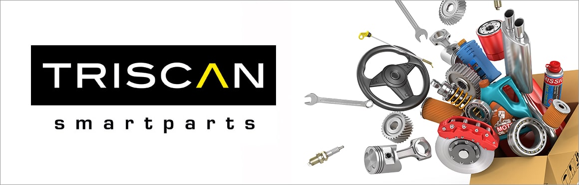 TRISCAN Frein Catalogue correspondant à Flexible de frein arrière et avant, arrière gauche et droit, avant gauche et droit pour votre voiture